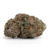 Buy God’s Green Crack
