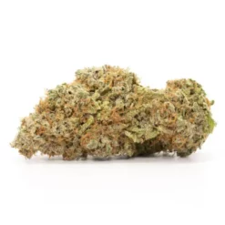 Buy Mango Haze Online