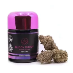 Buy Northern Nights Strain