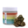 Premium Jack Cannabis Strain