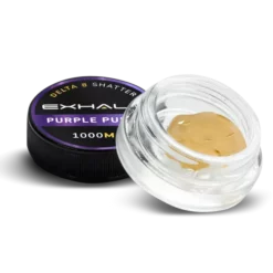 SHATTER – PURPLE PUNCH for sale online