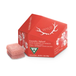 Strawberry- CBD Hybrid Enhanced Gummies
