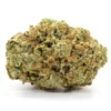 Buy Sunset Sherbet Online