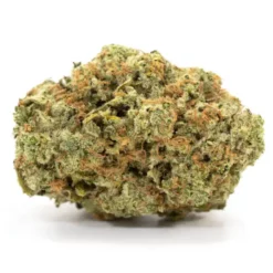 Buy Sunset Sherbet Online