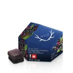 WYLD – Elderberry Gummies