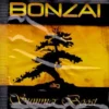 Buy Summer Boost Herbal Incense 3g Online