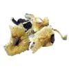 Buy Brazilian Dried Magic Mushrooms Online