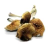 Buy Costa Rican Dried Magic Mushrooms Online