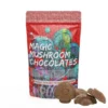 Buy Amazonian Magic Mushroom Chocolates