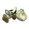 Buy Mazatapec Dried Magic Mushrooms Online