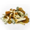 Buy South American Dried Magic Mushrooms Online