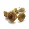 Thai Pink - Buffalo Dried Magic Mushrooms