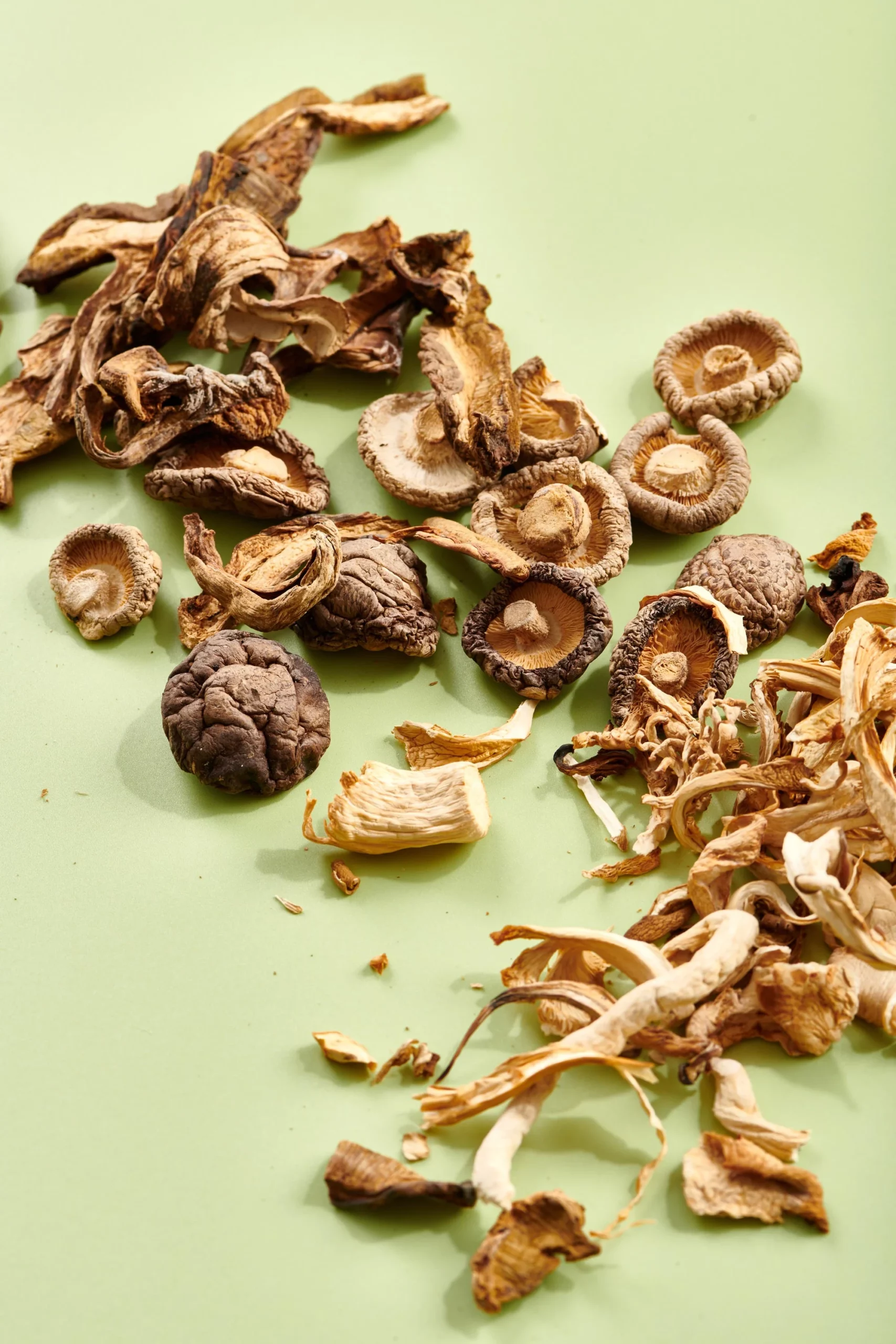 Mushroom