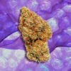 Buy Blueberry Strain Online