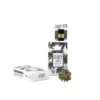 Buy Stiiizy Premium THC Pod OG Kush.5g Online