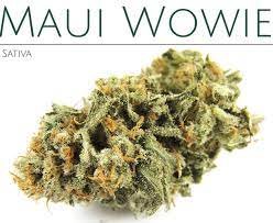 Buy Maui Wowie Strain Online