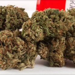 Buy Diablo kush Strain
