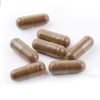 Golden Teacher Lion’s Mane Capsules