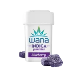 Blueberry Indica Sour Gummies 100mg 10 pack