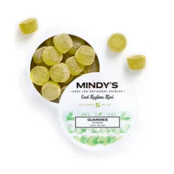 Cool Key Lime Kiwi Gummies 100mg 20 pack