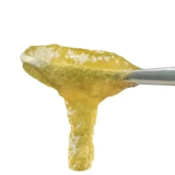FloraCal Devil Driver Live Rosin Jam