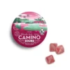 Kiva Camino Sours Watermelon Spritz Gummies