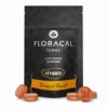 Tropical Punch Hybrid Live Rosin Gummies 100mg