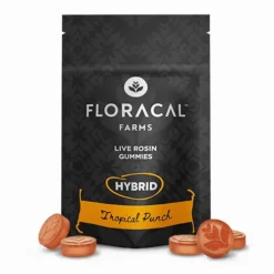 Tropical Punch Hybrid Live Rosin Gummies 100mg