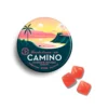 5mg Camino ‘Bliss’ Watermelon Lemonade Gummies