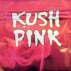 Buy Kush Herbal Incense 11g