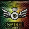 Buy Spike Max Herbal Incense