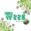 Buy Weed Herbal Incense