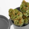 Buy AK-47 Weed Strain