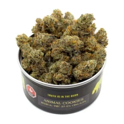 Buy Animal Cookies Weed Strain