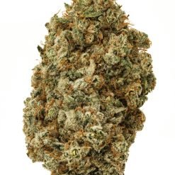 Buy Alien OG Weed