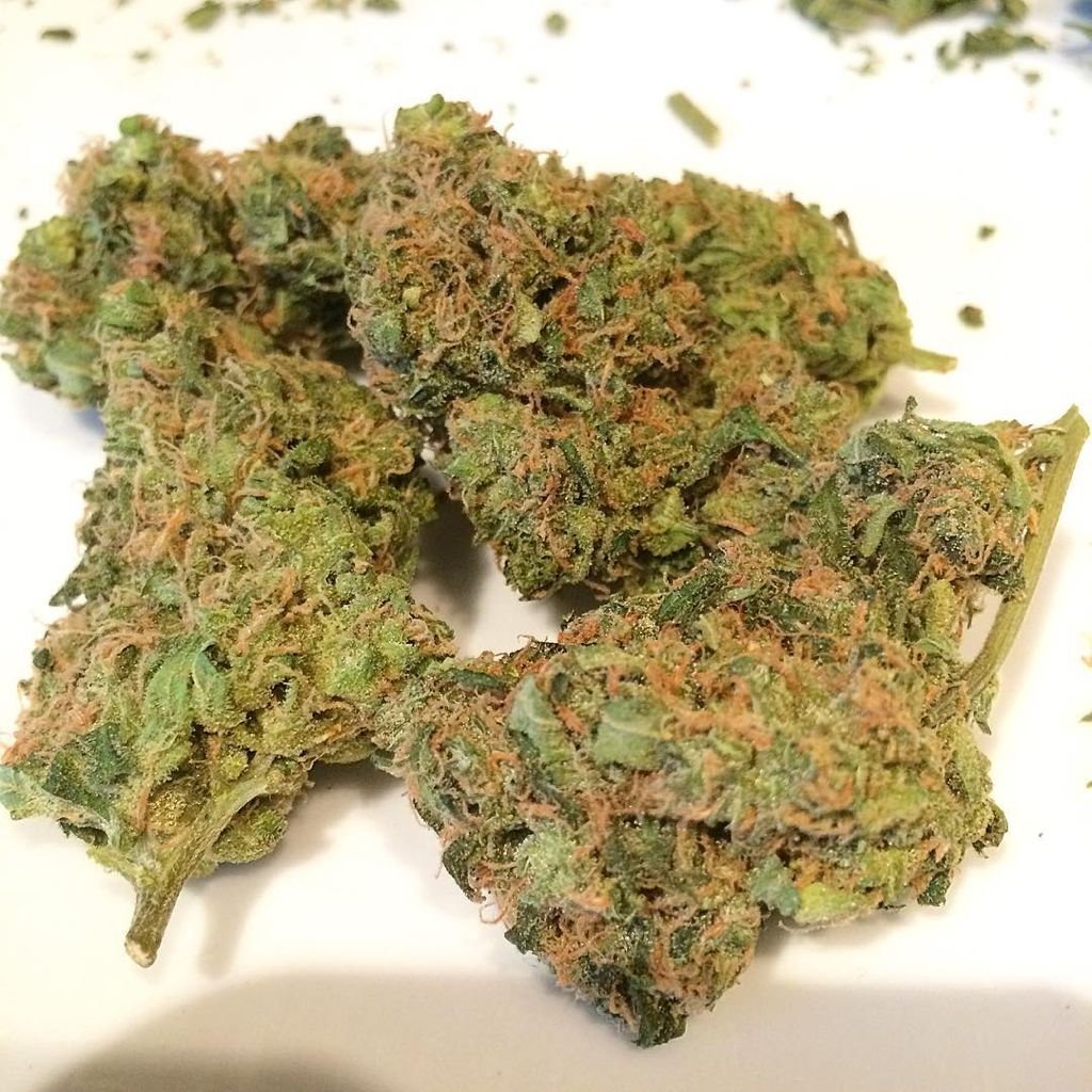 Buy BLUEBERRY KUSH Online Buy BLUEBERRY KUSH