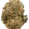 Buy Sugar Cookies Weed