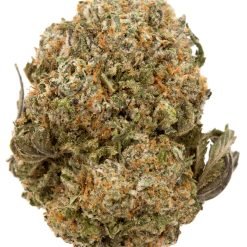 Buy Sugar Cookies Weed