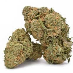 Buy Durban Poison Weed Strain